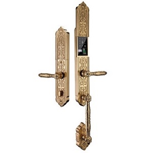 Khóa điện tử, vân tay dùng cho đại sảnh, biệt thự DEMAX SL838 GOLD - APP WIFI